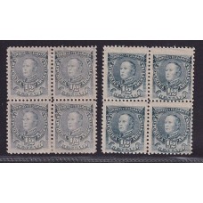 ARGENTINA 1889 GJ 97A CUADROS DE ESTAMPILLAS AZUL GRIS NUEVAS CON GOMA AZUL DE PRUSIA NUEVAS MINT