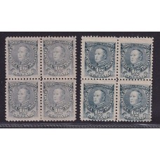 ARGENTINA 1889 GJ 97A CUADROS DE ESTAMPILLAS AZUL GRIS NUEVAS CON GOMA AZUL DE PRUSIA NUEVAS MINT