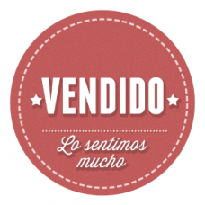 ARGENTINA 1889 GJ 115,116, 118 Y 118A LOS 4 VALORES FINALES DE LA SERIE PROCERES CHICOS INCLUIDO LA VARIEDAD DE PAPEL DEL VEINTE PESOS TODOS NUEVOS CON GOMA U$ 1185