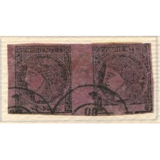 ARGENTINA 1880 GJ 17 CORRIENTES PAREJA USADA, COMO ESTAMPILLAS SUELTAS SUMAN U$ 440 SEGURO ASI VALEN MUCHO MAS YA QUE SON MUY RAROS LOS MULTIPLES DEL COLOR PURPURA TIPOS 7 Y 8 DE LA PLANCHA