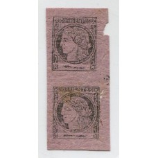 ARGENTINA 1879 GJ 16 CORRIENTES PAREJA VERTICAL DE ESTAMPILLAS NUEVAS MINT AMBOS SELLOS CON DEFECTOS PERO AUN ASI MUY LINDA PIEZA TIPOS 2 Y 6 DE LA PLANCHA U$ 54+