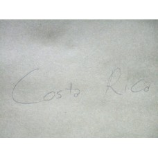 COSTA RICA MUY ANTIGUA COLECCION DE ESTAMPILLAS VARIAS DE SERVICIO OFICIAL, INCLUYE ALGUNA VARIEDAD ( SIN DENTAR Y SOBRECARGA INVERTIDA ) BONITO E INTERESANTE CONJUNTO