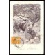ABORIGENES INDIOS TOBA CHACO ANTIGUA TARJETA POSTAL INDIGENAS