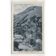JUJUY ANTIGUA TARJETA POSTAL BALNEARIO DE REYES