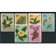 CUBA 1970 FLORES SERIE COMPLETA DE ESTAMPILLAS MINT