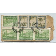 ARGENTINA 1956 TARJETA PARA SACOS DE ENCOMIENDA CON ESTAMPILLAS DE FRANQUEO MIXTO PROCERES Y RIQUEZAS 1 y 2