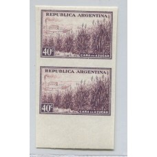 ARGENTINA 1935 GJ 768P PROCERES Y RIQUEZAS 1 PAREJA VARIEDAD ESTAMPILLAS SIN DENTAR NUEVA MINT U$ 67