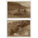 ANTARTIDA ARGENTINA 1916 CUATRO FOTOGRAFIAS DE GRYTVIKEN SOUTH GEORGIAS, DE FECHA TENTATIVA MUY RARAS