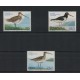 FEROE AVES FAUNA SERIE COMPLETA DE ESTAMPILLAS NUEVAS MINT