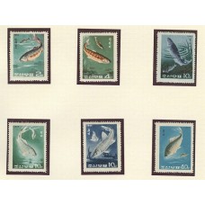 COREA DEL NORTE 1965 PECES FAUNA MARINA SERIE COMPLETA DE ESTAMPILLAS MINT