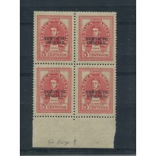 ARGENTINA SERVICIO OFICIAL GJ 672 CUADRO MINT CON VARIEDAD FILIGRANA RAYA, RARO