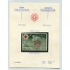BELGICA 1941 Yv. 582B ESTAMPILLA NUEVAS MINT SOBRE CARTON NUMERADO 130 EUROS CRUZ ROJA MEDICINA