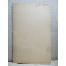 COLONIAS ESPAÑOLAS COLECCION DE ESTAMPILLASEN ANTIGUA LIBRETA TODO DE MUY BUENA CALIDAD