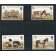 MALVINAS 1981 CABALLOS SERIE COMPLETA DE ESTAMPILLAS MINT