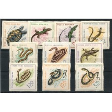 RUMANIA TORTUGA FAUNA SERIE COMPLETA DE ESTAMPILLAS MINT