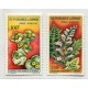 CONGO FLORES SERIE COMPLETA DE ESTAMPILLAS MINT